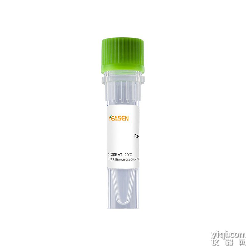 Recombinant Human TNF-β/TNFSF1